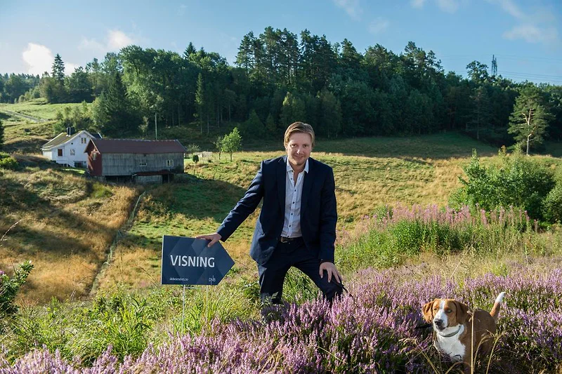 Artikkelbilde