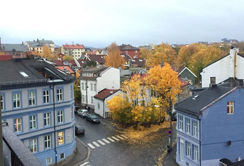 Artikkelbilde