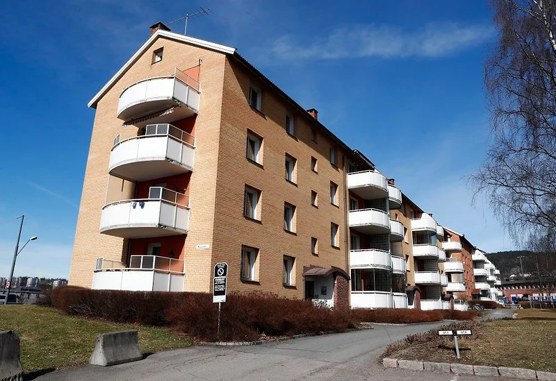 Artikkelbilde