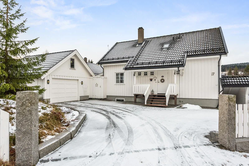 Artikkelbilde