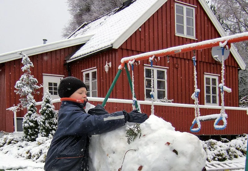Artikkelbilde