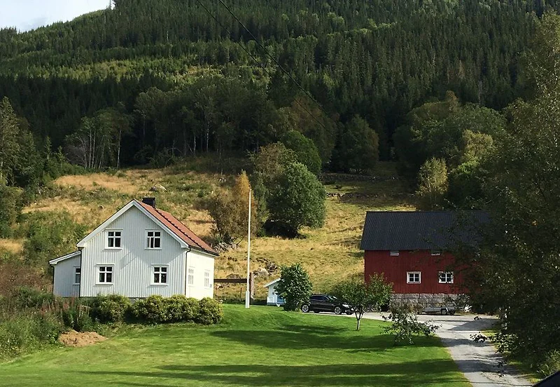 Artikkelbilde