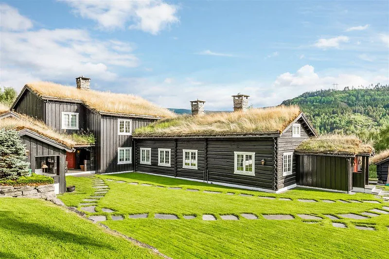 Artikkelbilde