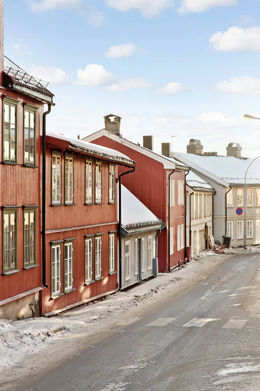 Artikkelbilde