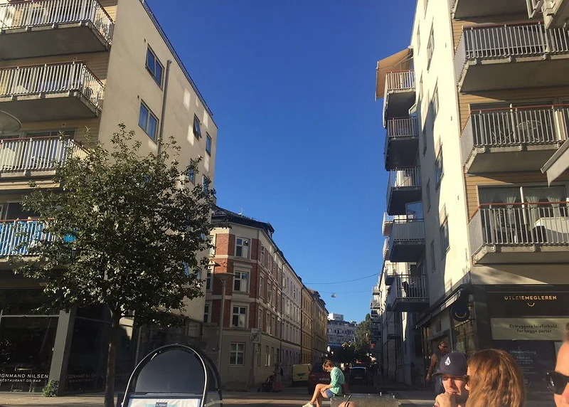 Artikkelbilde