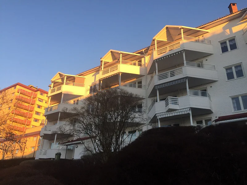 Artikkelbilde