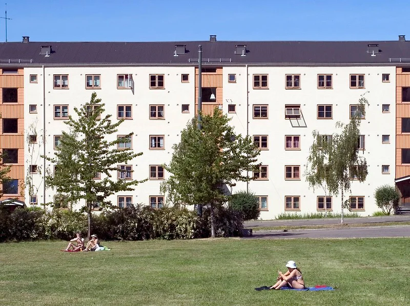 Artikkelbilde