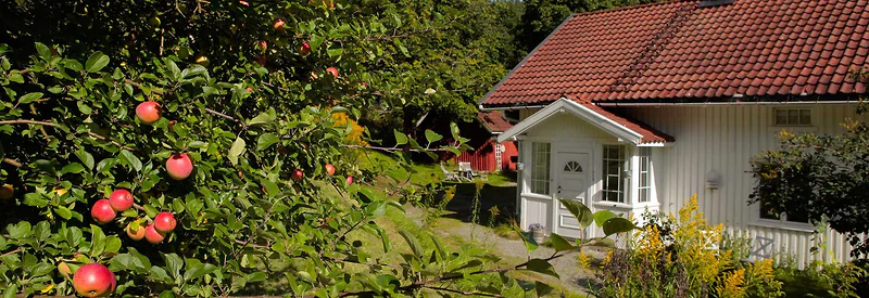 Artikkelbilde
