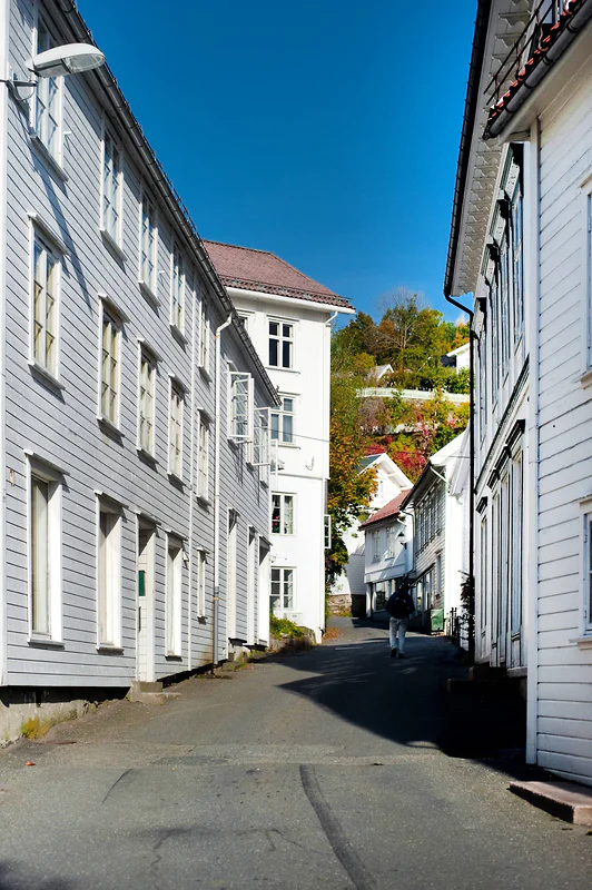 Artikkelbilde