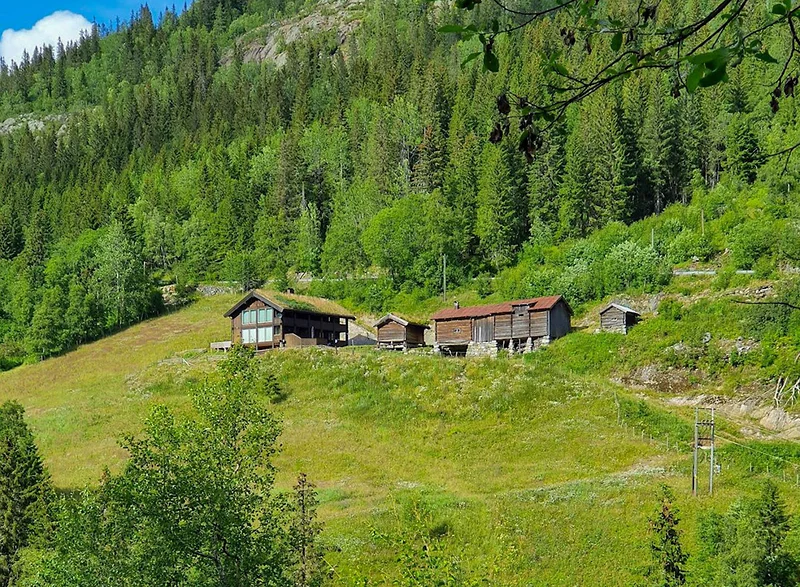 Artikkelbilde
