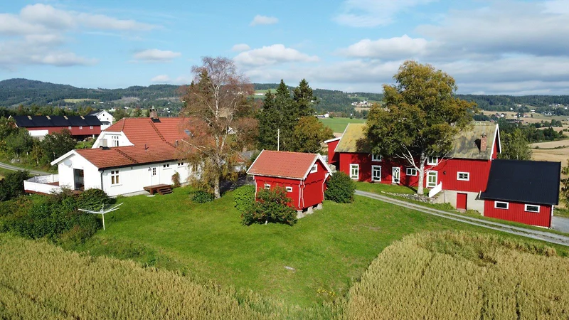 Artikkelbilde