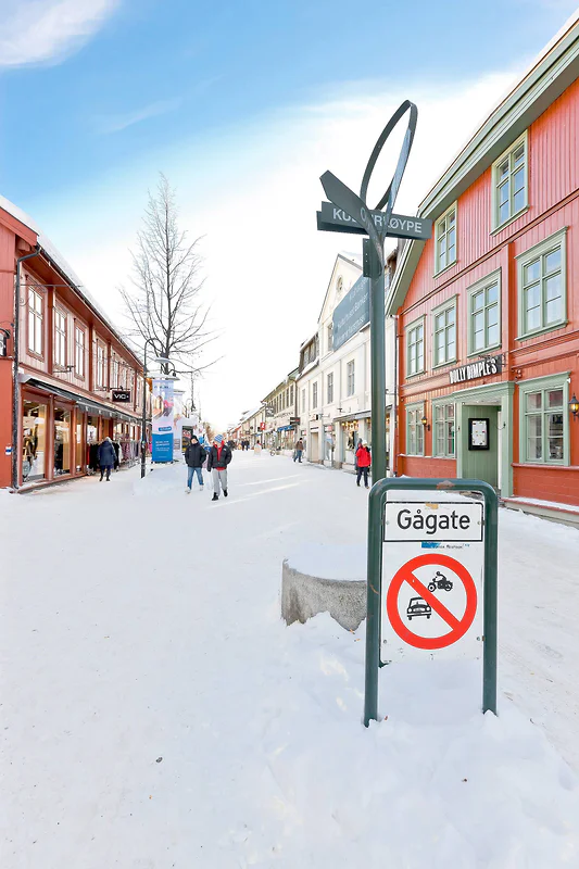 Artikkelbilde
