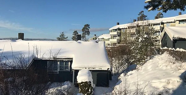 Artikkelbilde