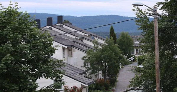 Artikkelbilde