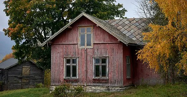 Artikkelbilde