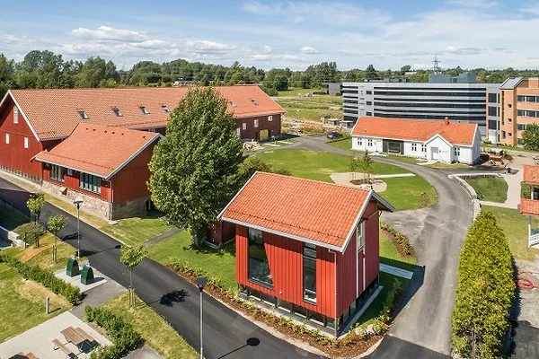 Artikkelbilde