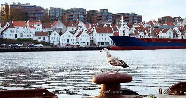 Artikkelbilde
