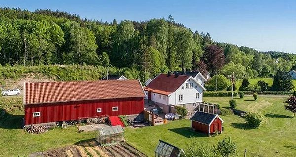 Artikkelbilde
